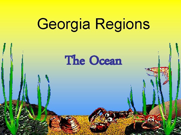 Georgia Regions The Ocean 