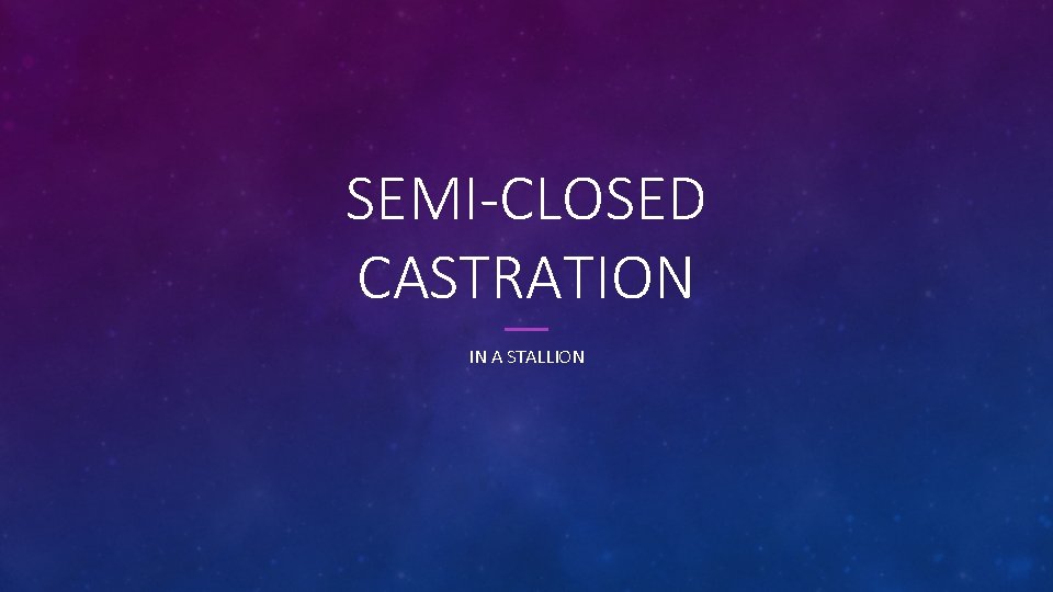 SEMI-CLOSED CASTRATION IN A STALLION 