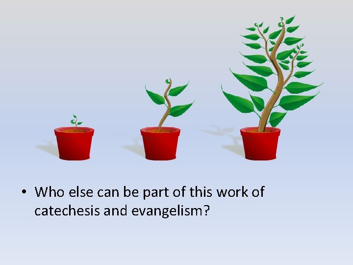  • Who else can be part of this work of catechesis and evangelism?