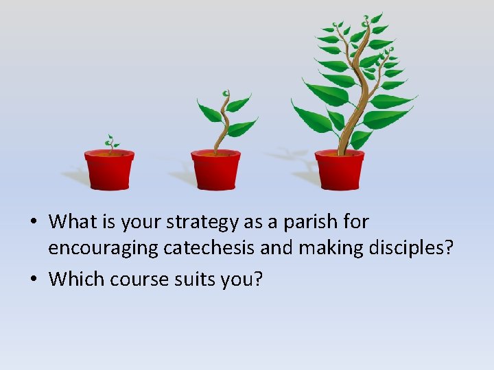  • What is your strategy as a parish for encouraging catechesis and making