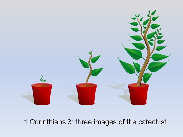 1 Corinthians 3: three images of the catechist 