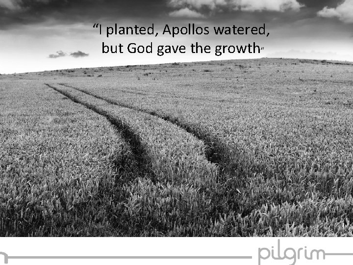 “I planted, Apollos watered, but God gave the growth” 