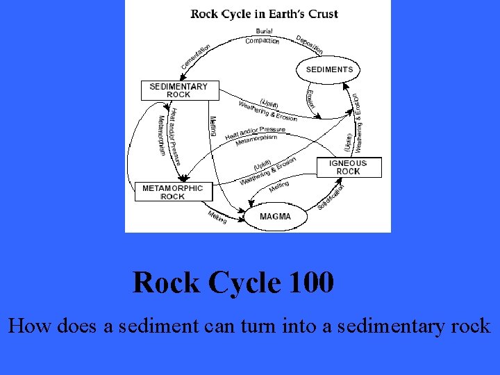 Rock Cycle 100 How does a sediment can turn into a sedimentary rock 