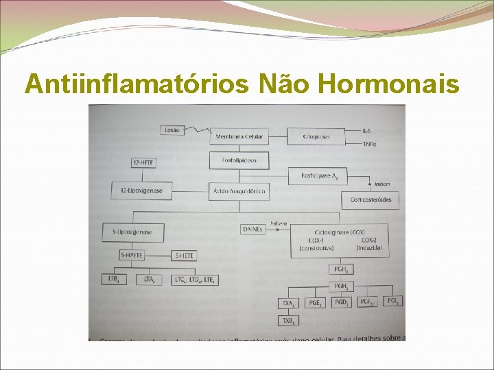 Antiinflamatórios Não Hormonais 