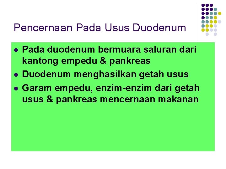 Pencernaan Pada Usus Duodenum l l l Pada duodenum bermuara saluran dari kantong empedu