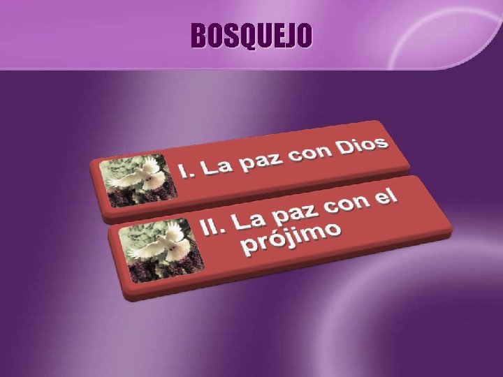 BOSQUEJO 