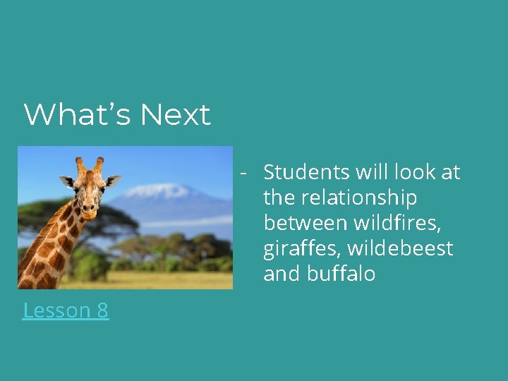 What’s Next - Students will look at the relationship between wildfires, giraffes, wildebeest and