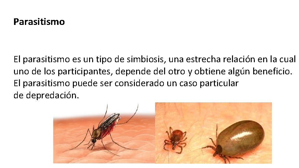 Parasitismo El parasitismo es un tipo de simbiosis, una estrecha relación en la cual
