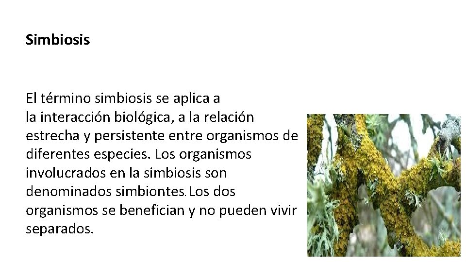 Simbiosis El término simbiosis se aplica a la interacción biológica, a la relación estrecha