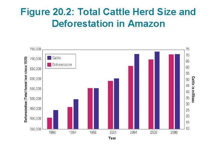 Figure 20. 2: Total Cattle Herd Size and Deforestation in Amazon 