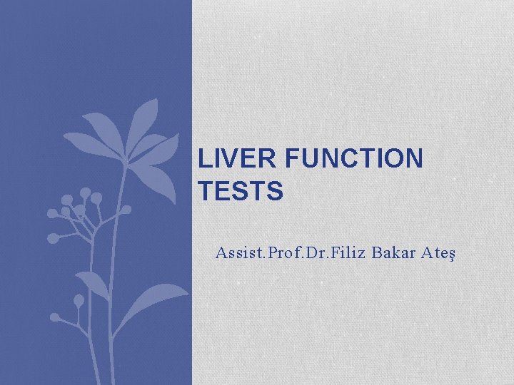 LIVER FUNCTION TESTS Assist. Prof. Dr. Filiz Bakar Ateş 