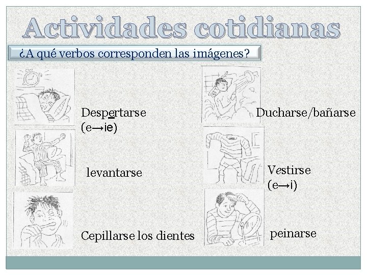 Actividades cotidianas ¿A qué verbos corresponden las imágenes? Despertarse (e→ie) levantarse Cepillarse los dientes Actividades cotidianas ¿A qué verbos corresponden las imágenes? Despertarse (e→ie) levantarse Cepillarse los dientes