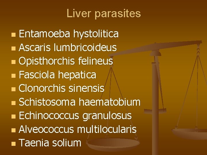 Liver parasites Entamoeba hystolitica n Ascaris lumbricoideus n Opisthorchis felineus n Fasciola hepatica n