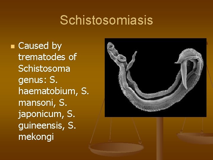 Schistosomiasis n Caused by trematodes of Schistosoma genus: S. haematobium, S. mansoni, S. japonicum,