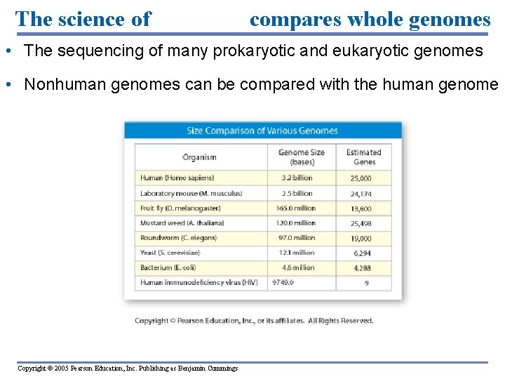 The science of genomics compares whole genomes • The sequencing of many prokaryotic and