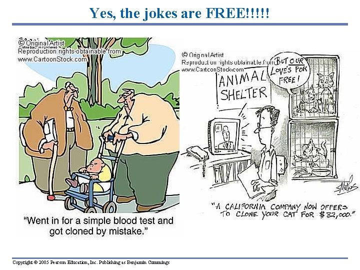Yes, the jokes are FREE!!!!! Copyright © 2005 Pearson Education, Inc. Publishing as Benjamin