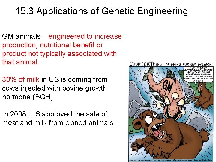15. 3 Applications of Genetic Engineering GM animals – engineered to increase production, nutritional