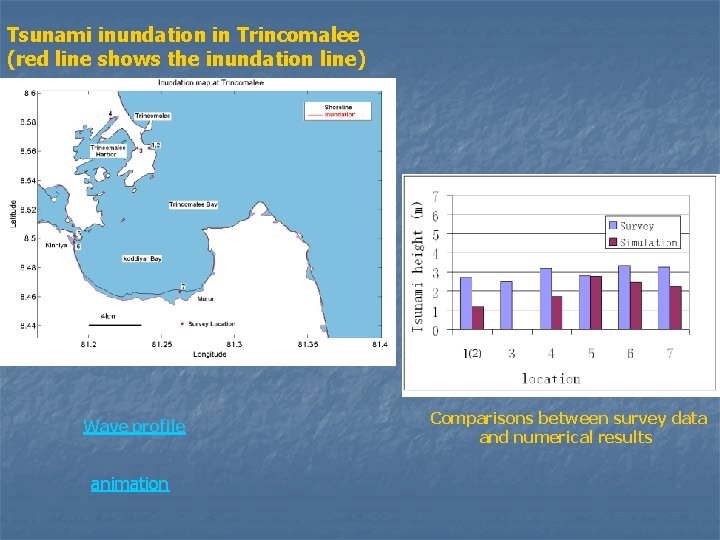 Tsunami inundation in Trincomalee (red line shows the inundation line) Wave profile animation Comparisons