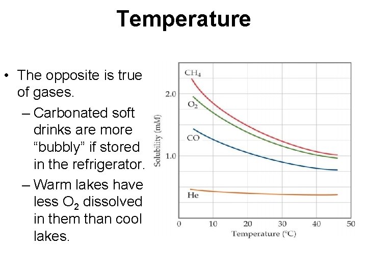 Temperature • The opposite is true of gases. – Carbonated soft drinks are more