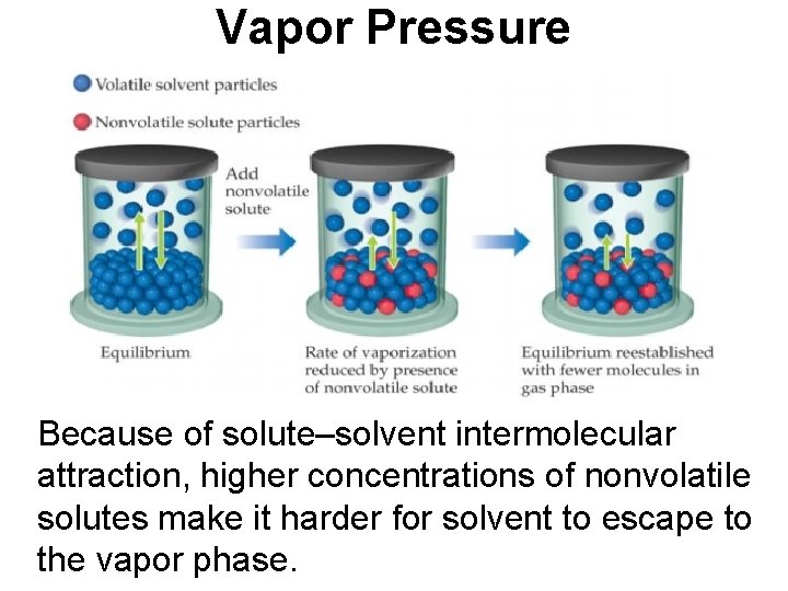 Vapor Pressure Because of solute–solvent intermolecular attraction, higher concentrations of nonvolatile solutes make it