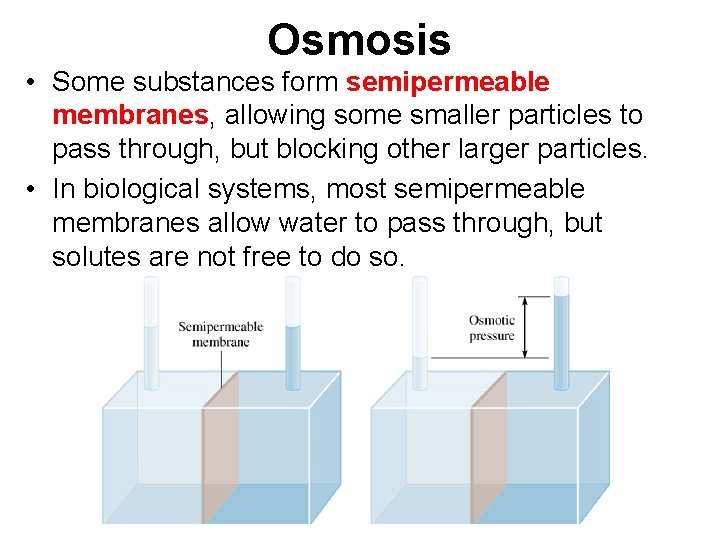 Osmosis • Some substances form semipermeable membranes, allowing some smaller particles to pass through,