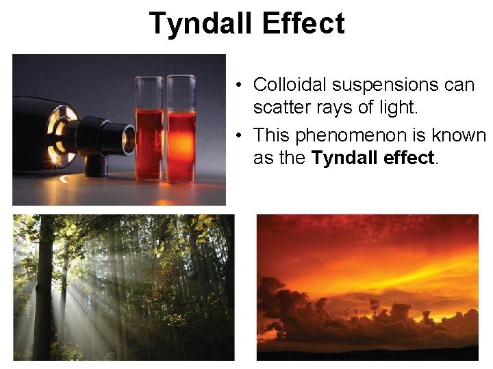 Tyndall Effect • Colloidal suspensions can scatter rays of light. • This phenomenon is