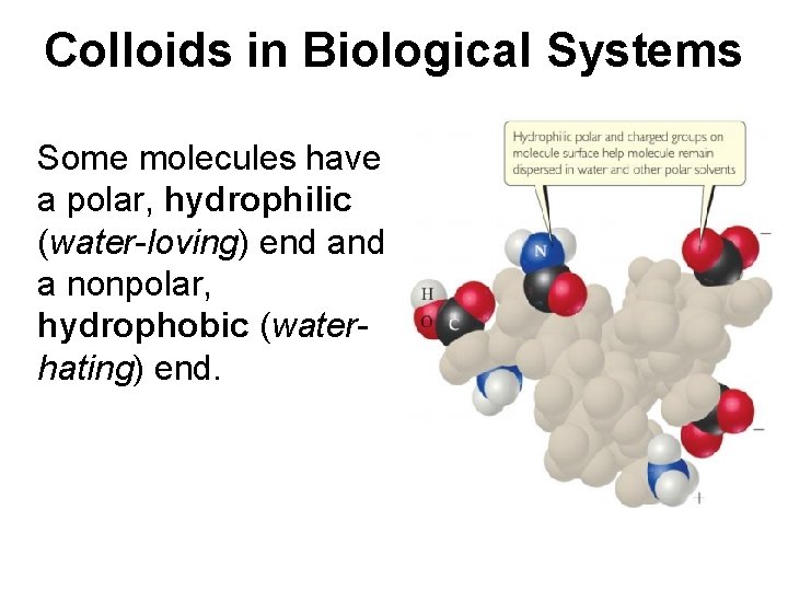 Colloids in Biological Systems Some molecules have a polar, hydrophilic (water-loving) end a nonpolar,