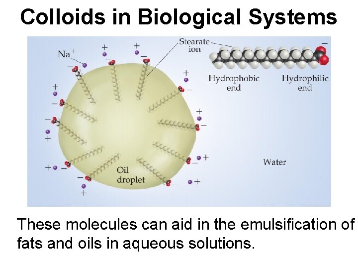 Colloids in Biological Systems These molecules can aid in the emulsification of fats and