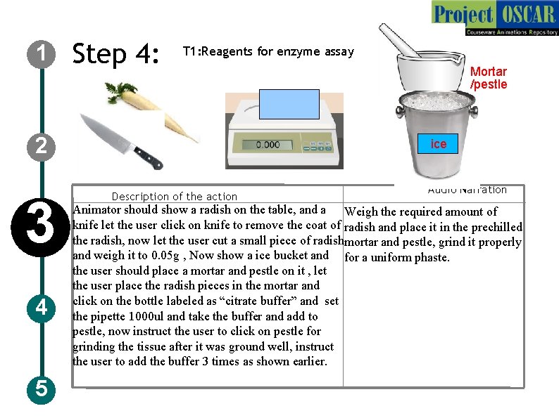1 Step 4: T 1: Reagents for enzyme assay 2 3 4 5 Mortar