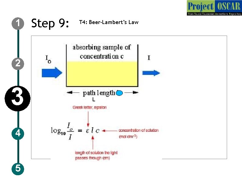 1 Step 9: T 4: Beer-Lambert’s Law 2 3 4 5 L 