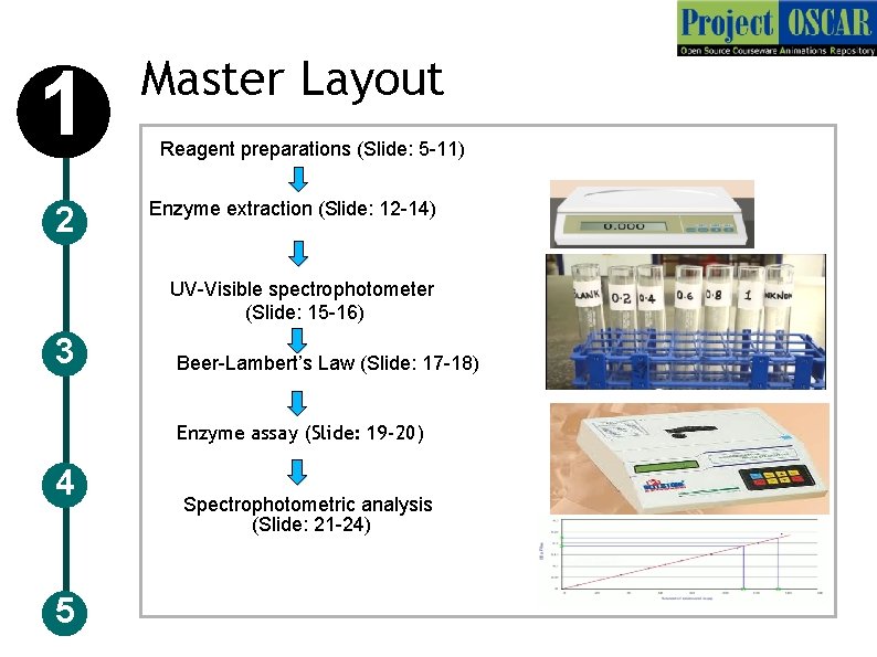 1 Master Layout 2 Enzyme extraction (Slide: 12 -14) Reagent preparations (Slide: 5 -11)