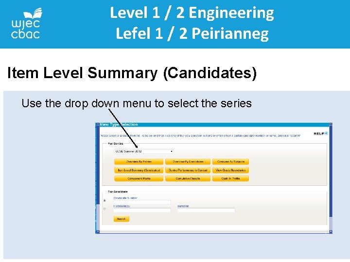 Level 1 / 2 Engineering Lefel 1 / 2 Peirianneg Item Level Summary (Candidates)