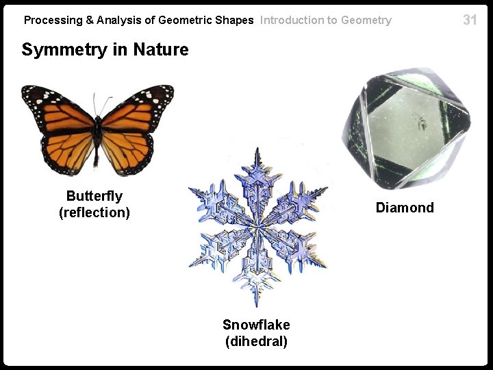 Processing & Analysis of Geometric Shapes Introduction to Geometry Symmetry in Nature Butterfly (reflection)