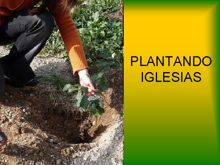 PLANTANDO IGLESIAS 