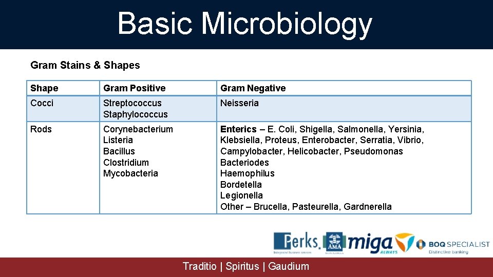 Basic Microbiology Gram Stains & Shapes Shape Gram Positive Gram Negative Cocci Streptococcus Staphylococcus