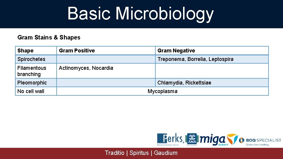 Basic Microbiology Gram Stains & Shapes Shape Gram Positive Gram Negative Spirochetes Filamentous branching