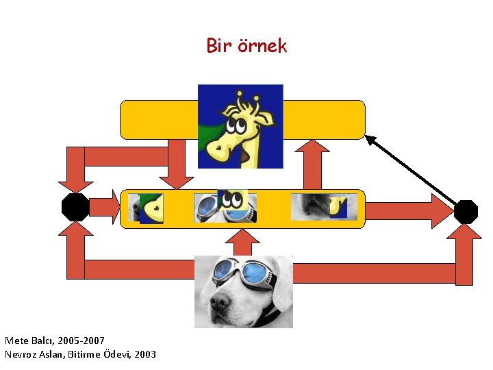 Bir örnek Mete Balcı, 2005 -2007 Nevroz Aslan, Bitirme Ödevi, 2003 