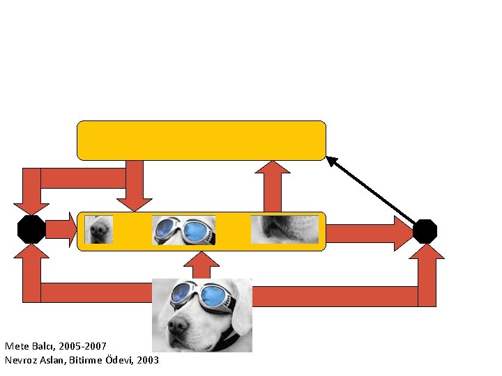 Mete Balcı, 2005 -2007 Nevroz Aslan, Bitirme Ödevi, 2003 