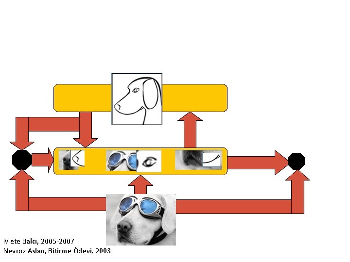 Mete Balcı, 2005 -2007 Nevroz Aslan, Bitirme Ödevi, 2003 