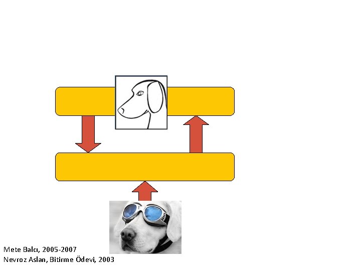 Mete Balcı, 2005 -2007 Nevroz Aslan, Bitirme Ödevi, 2003 