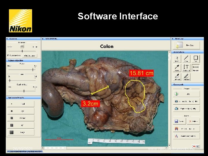 Software Interface Annotations 26/10/2021 www. nikoninstruments. eu 