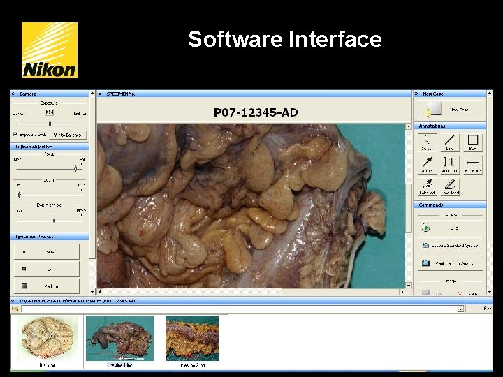 Software Interface Thumbnail Images 26/10/2021 www. nikoninstruments. eu 