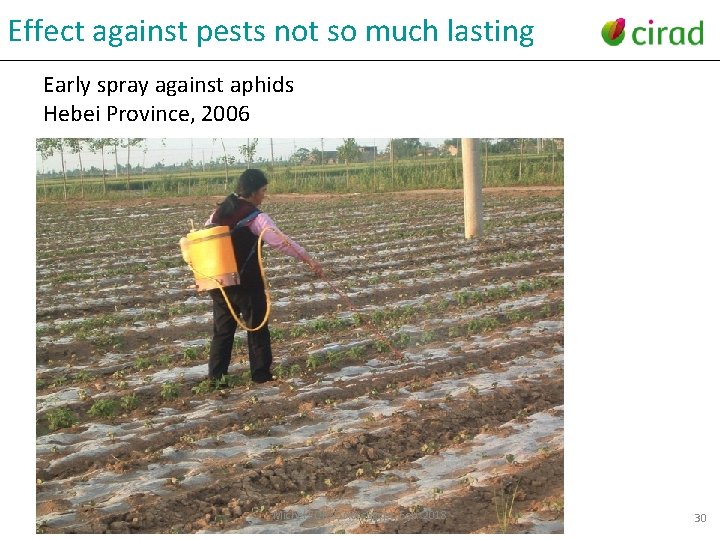 Effect against pests not so much lasting Early spray against aphids Hebei Province, 2006