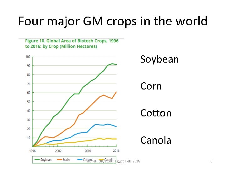 Four major GM crops in the world Soybean Corn Cotton Canola Michel FOK, Luxor,