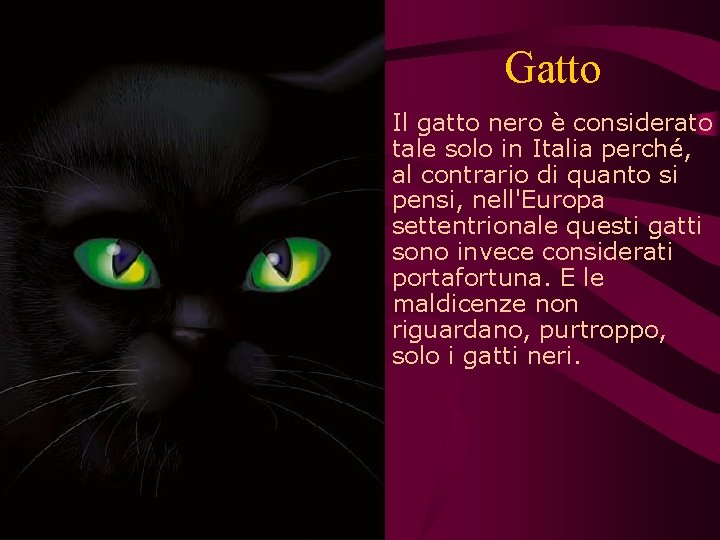 Gatto Il gatto nero è considerato tale solo in Italia perché, al contrario di