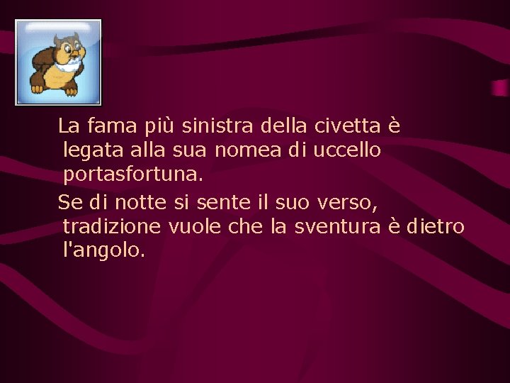 La fama più sinistra della civetta è legata alla sua nomea di uccello portasfortuna.