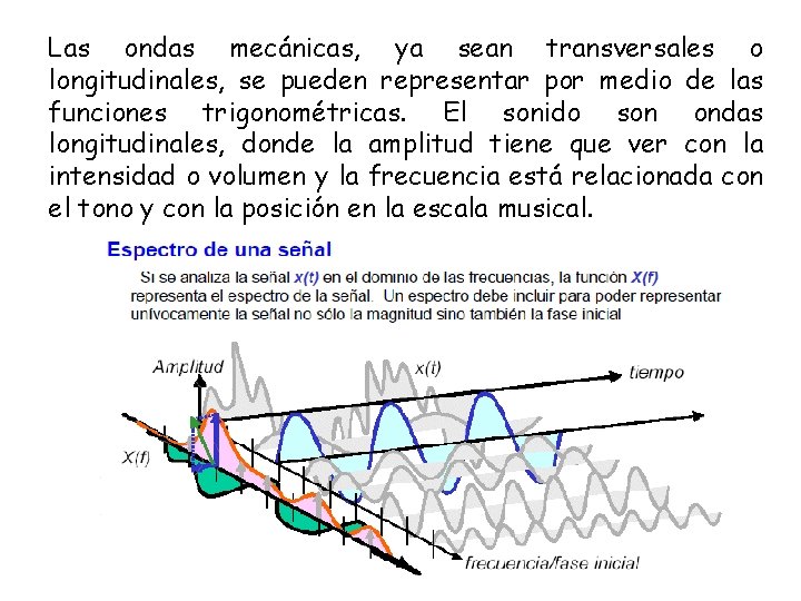 Las ondas mecánicas, ya sean transversales o longitudinales, se pueden representar por medio de