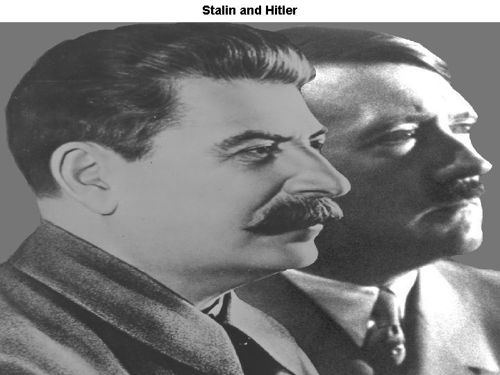 Stalin and Hitler 