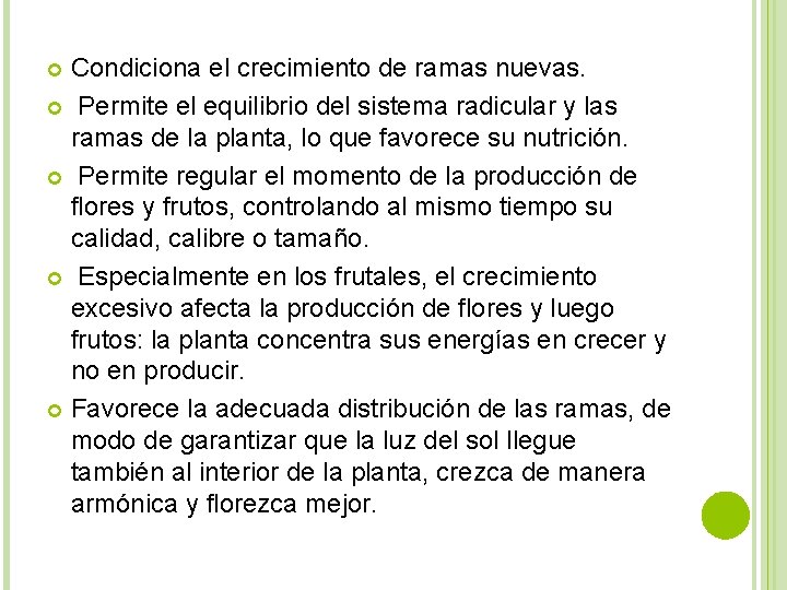 Condiciona el crecimiento de ramas nuevas. Permite el equilibrio del sistema radicular y las