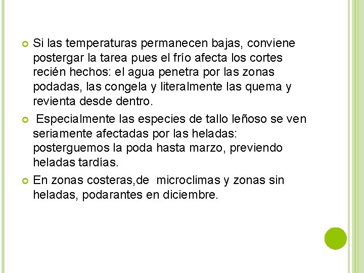 Si las temperaturas permanecen bajas, conviene postergar la tarea pues el frío afecta los